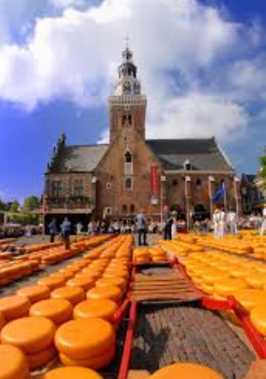 Huisje Britt Met Grote Tuin En Veel Privacy Dirkshorn Kültér fotó