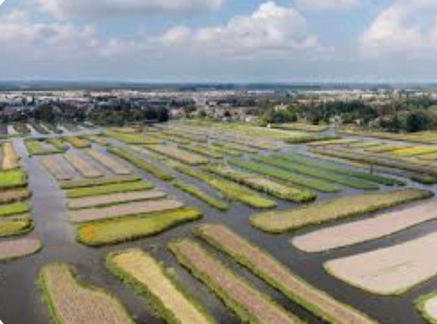 Huisje Britt Met Grote Tuin En Veel Privacy Dirkshorn Kültér fotó